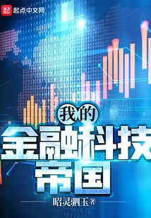 我的金融科技帝国起点中文网