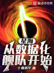 星海,从数据化舰队开始笔趣阁