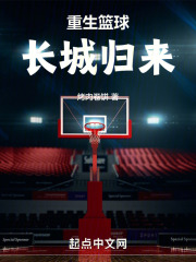 重生蓝球小说
