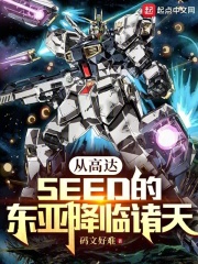 从高达开始 小说
