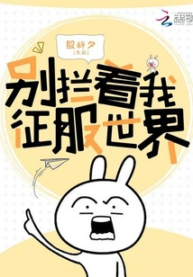 别拦着我征服世界 殷辞夕