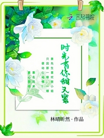时光有你甜又蜜 小说