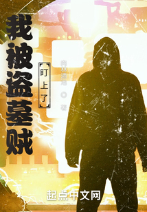 我被盗墓贼盯上了