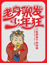 老身聊发少年狂小说讲的什么