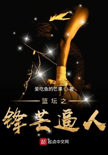 篮坛之巅 小说
