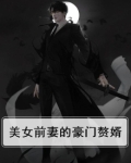 美女前妻的豪门赘婿