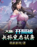 大唐:开局被长孙皇后认亲