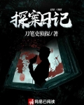 探案日记