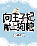向王子妃献上狗粮