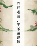 弃妇难缠,王爷请退散