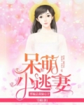 邪魅总裁偷心计:呆萌小逃妻