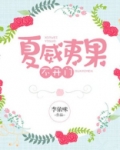 夏威夷果不开门