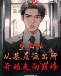 重回90:从基层派出所开始走向巅峰