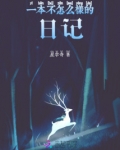一本不怎么样的日记