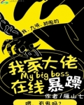 我家大佬在线暴躁