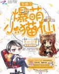 军婚之爆萌小猫仙