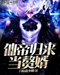 仙帝归来当赘婿