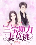 三宝助力妻莫逃