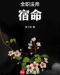 全职法师：宿命