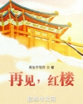 再见,红楼