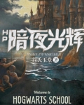 HP暗夜光辉