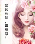 禁欲总裁,请息怒!