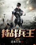 特战兵王