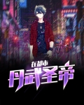 丹武圣帝在都市