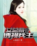女总裁的透视兵王
