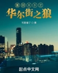 重回80之华尔街之狼