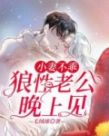 小妻不乖:狼性老公晚上见